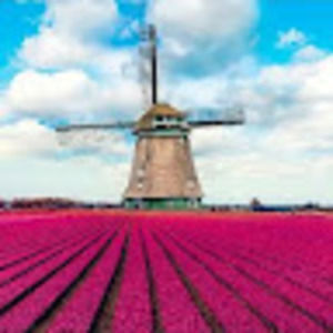 Meet your Posher, Lucy